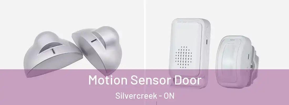 Motion Sensor Door Silvercreek - ON