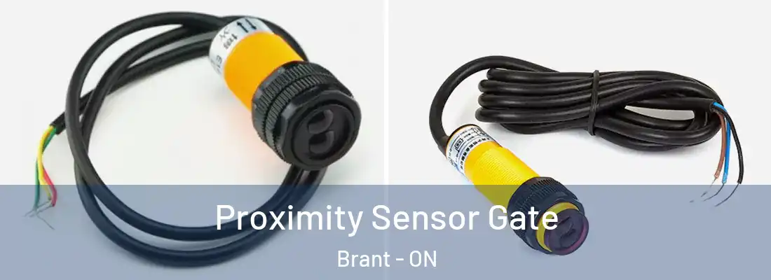  Proximity Sensor Gate Brant - ON