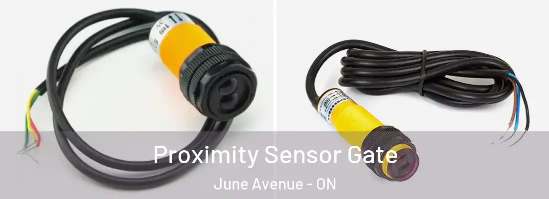  Proximity Sensor Gate June Avenue - ON
