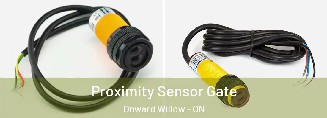  Proximity Sensor Gate Onward Willow - ON