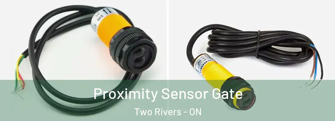  Proximity Sensor Gate Two Rivers - ON