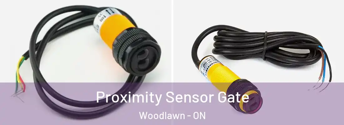  Proximity Sensor Gate Woodlawn - ON