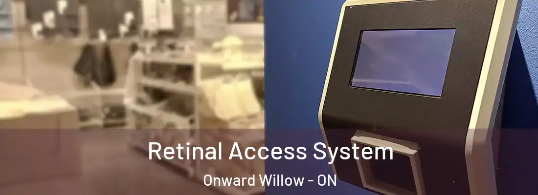  Retinal Access System Onward Willow - ON
