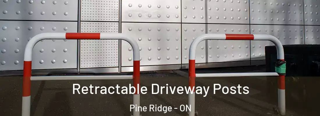  Retractable Driveway Posts Pine Ridge - ON