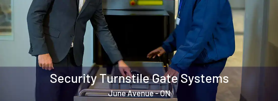  Security Turnstile Gate Systems June Avenue - ON