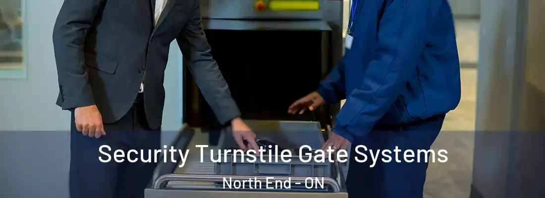  Security Turnstile Gate Systems North End - ON