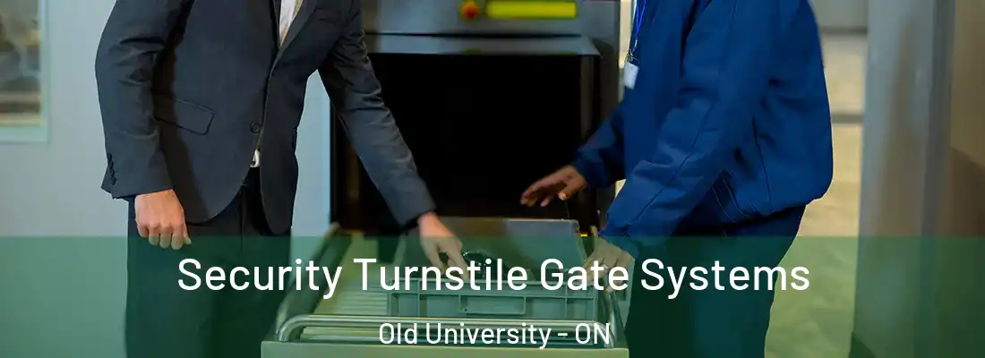  Security Turnstile Gate Systems Old University - ON