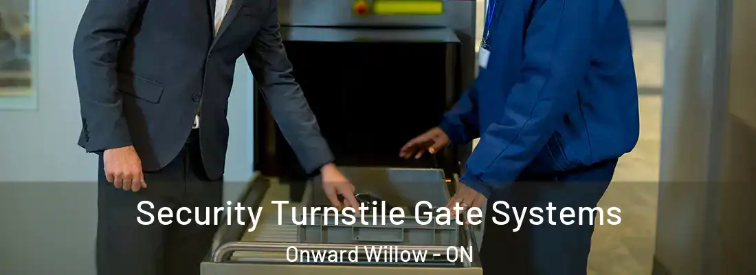  Security Turnstile Gate Systems Onward Willow - ON