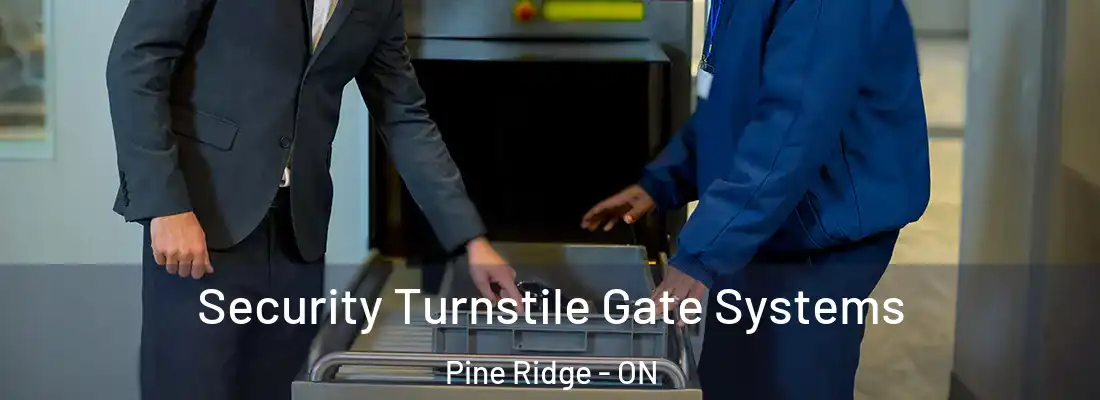  Security Turnstile Gate Systems Pine Ridge - ON