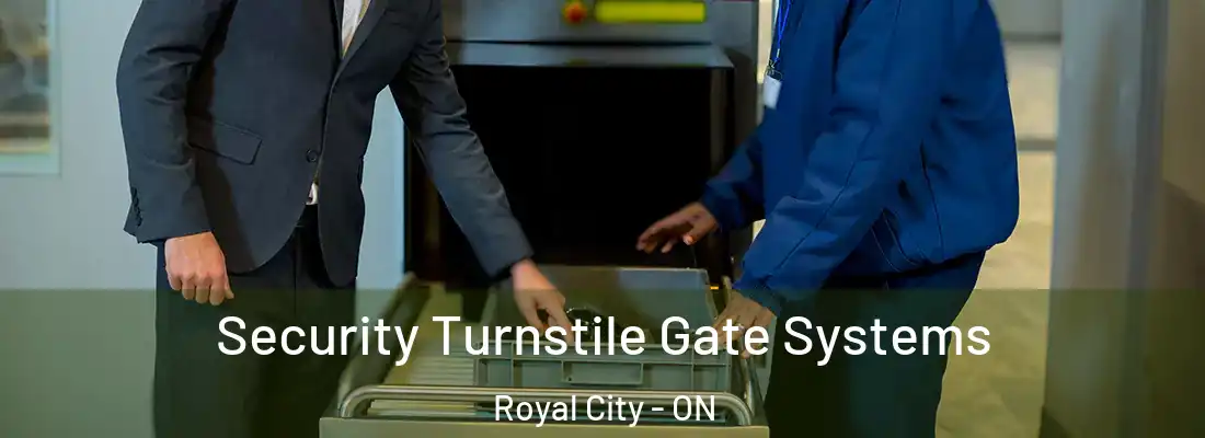  Security Turnstile Gate Systems Royal City - ON