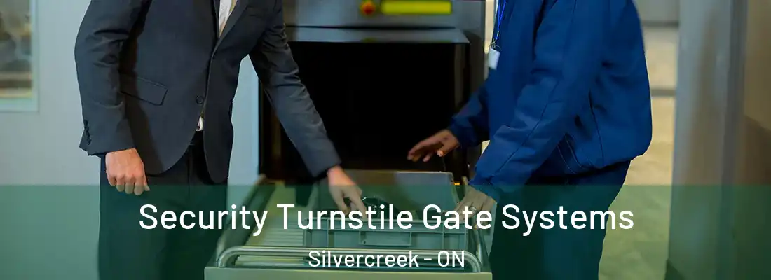  Security Turnstile Gate Systems Silvercreek - ON
