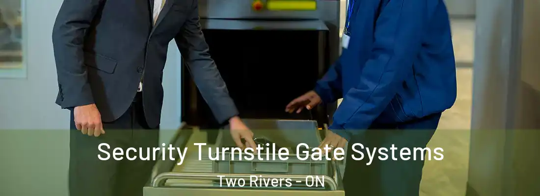  Security Turnstile Gate Systems Two Rivers - ON