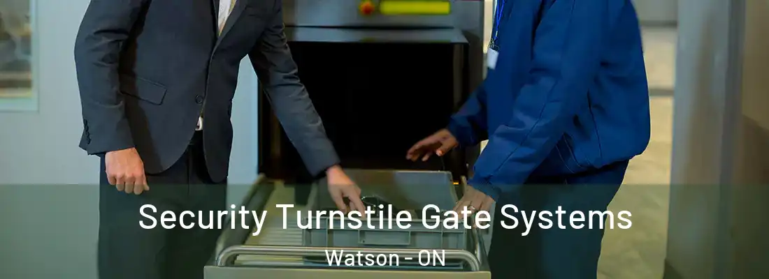  Security Turnstile Gate Systems Watson - ON