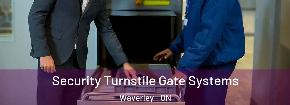  Security Turnstile Gate Systems Waverley - ON