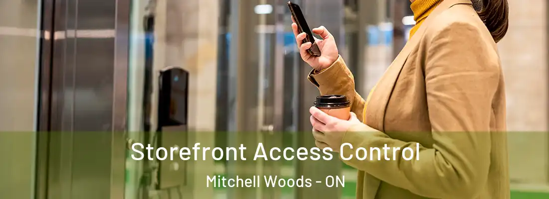  Storefront Access Control Mitchell Woods - ON