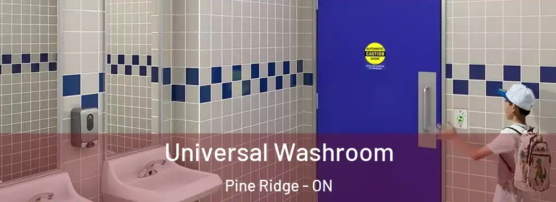  Universal Washroom Pine Ridge - ON