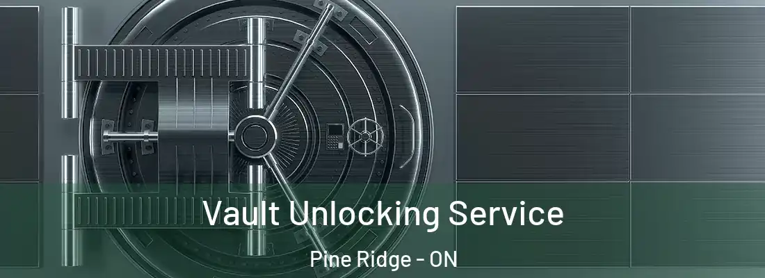  Vault Unlocking Service Pine Ridge - ON